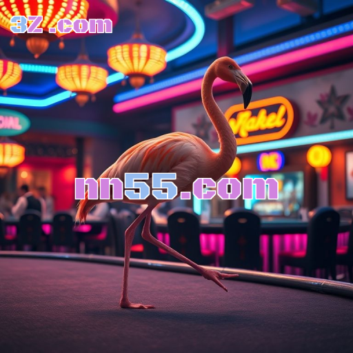 Bônus Imperdíveis no nn55.com Para Jogadores Brasileiros!